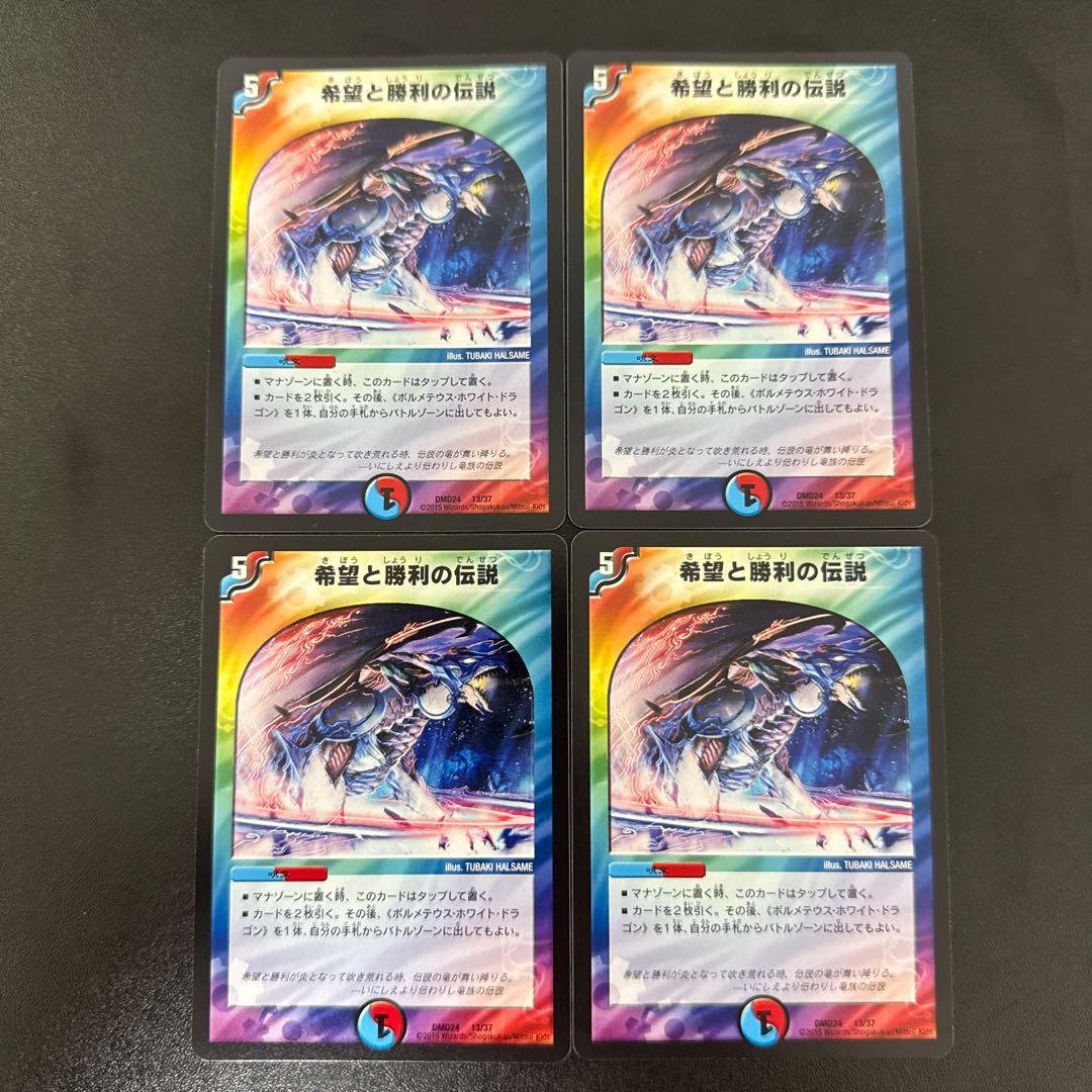 Legend of Hope and Victory 13/37