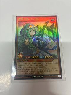 蒼救王姫リムリス 1枚