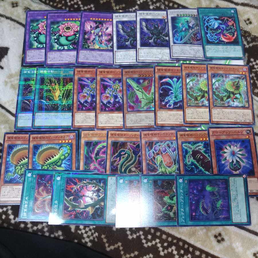 新規入り　捕食植物　プレデタープランツ　ユーリ　植物族　血樹竜姫ドラセレア　超逸融合　クリアウィング　デッキパーツ　は行　遊戯王 1枚