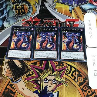 ゴルゴニック・ガーディアン LVAL 1 ノーマル 3枚セット てら