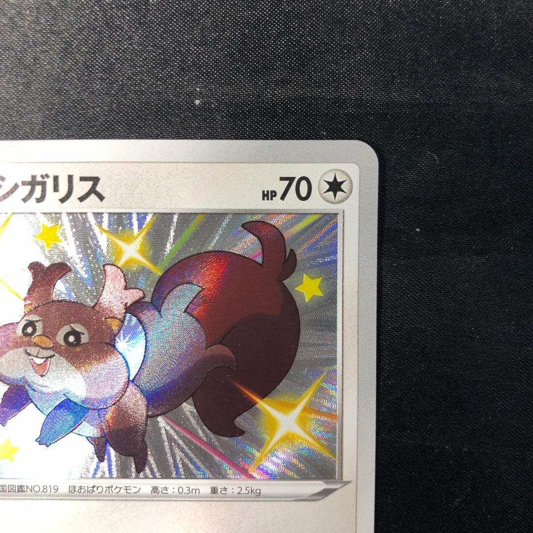 ホシガリス S 298/190 1枚