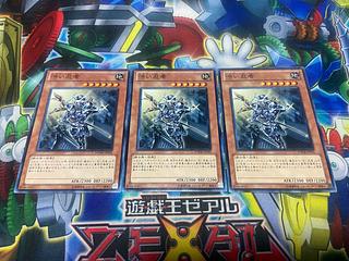 Y-974 渋い忍者 ノーマル JP031