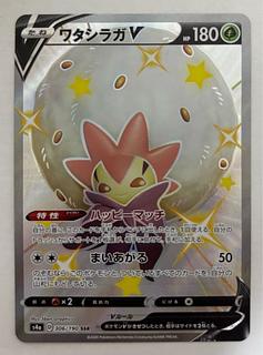 ワタシラガV　SSR