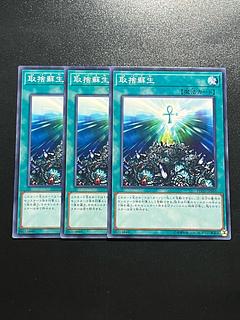 遊戯王スタジオ 3枚 取捨蘇生 ノーマルレア JP066