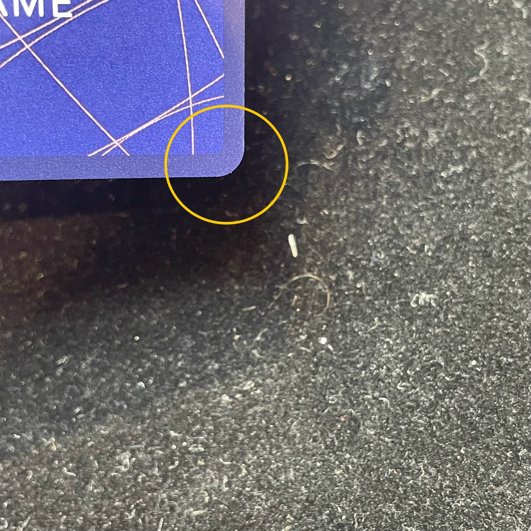 Boa Hancock (Parallel)(Super Parallel)(Comic Parallel, Comipara, Comic Background) P-SR OP07-051