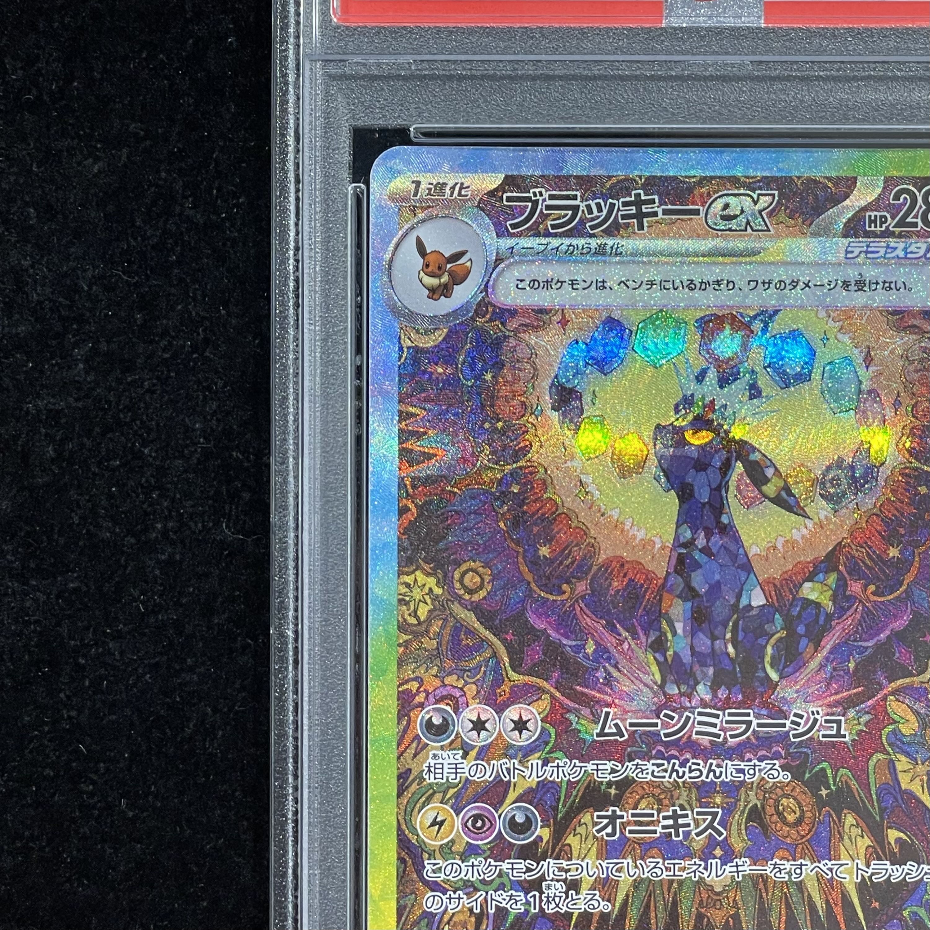 【PSA10】ブラッキーex SAR 217/187 1枚