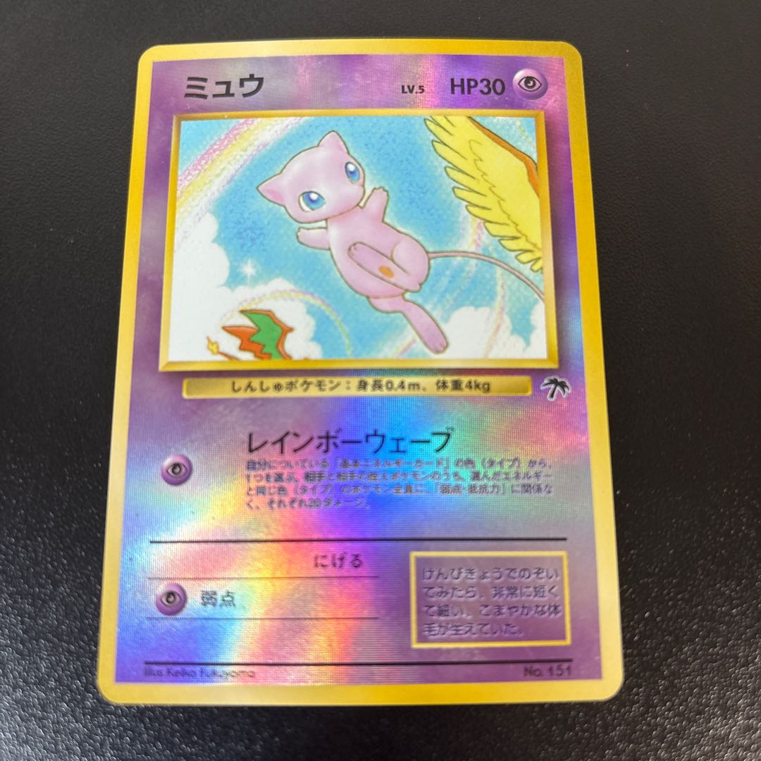 サザンアイランド　映画公開記念　ファイル　9枚　セット 1枚