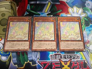 Y-752 Melffy Fenny Normal JP017