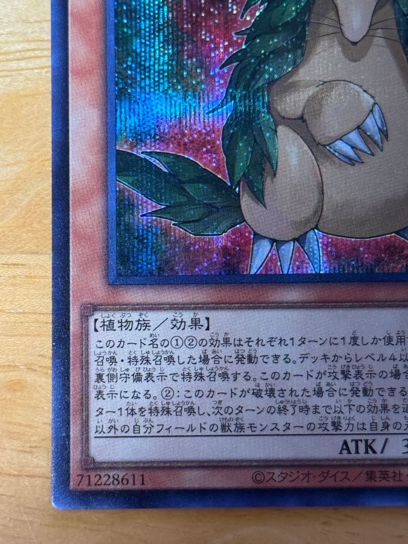 ユーカリ•モール　シークレットレア