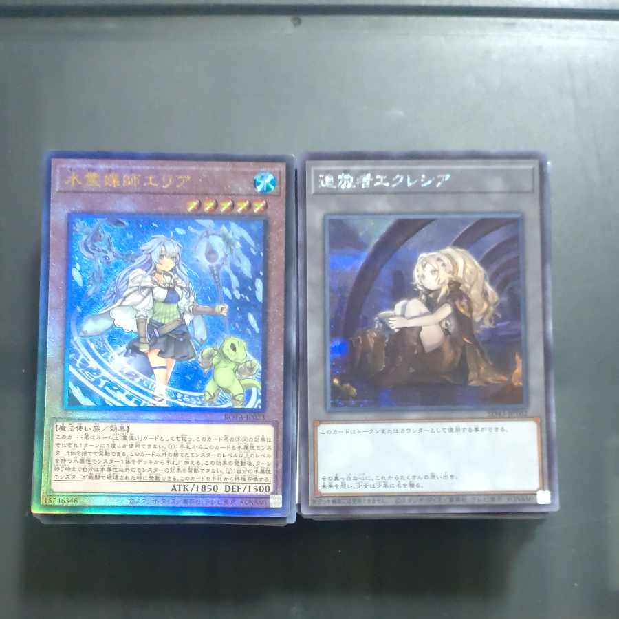 木林堂のブロックオリパ　改　【木林堂】