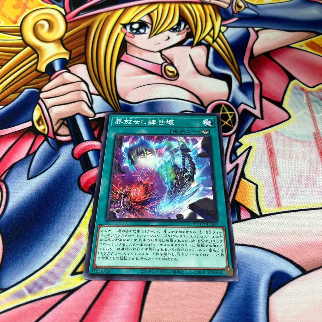 Kaiyousei arbitrariness Normal JP060 1枚