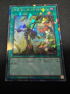 shador El Shaddoll Fusion Parallel Secret Rare TW03-JP082