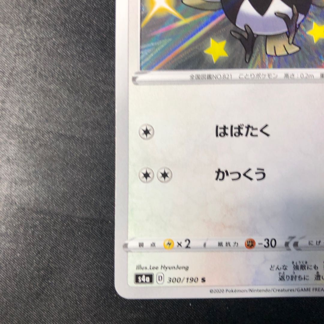 ココガラ S 300/190 1枚