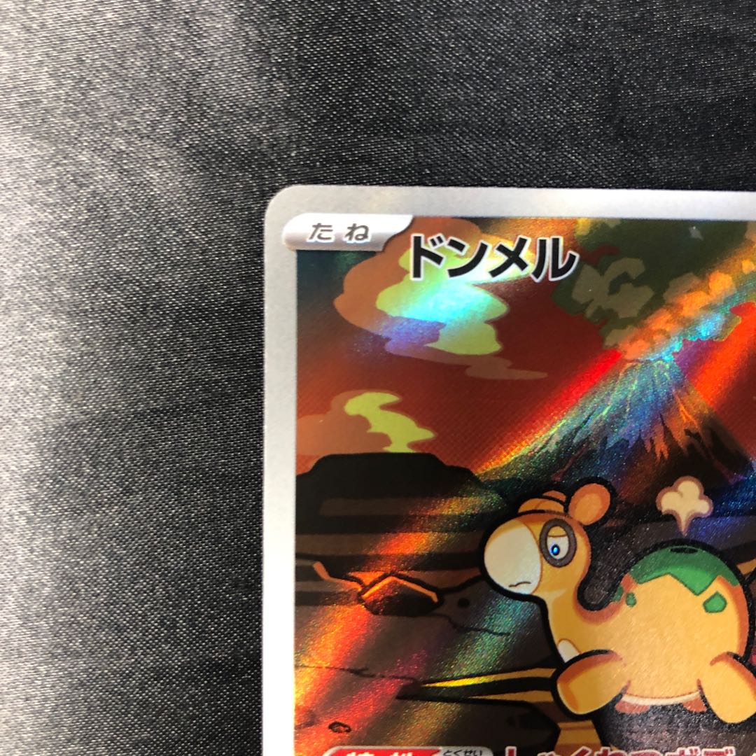 ドンメル AR 198/193 1枚