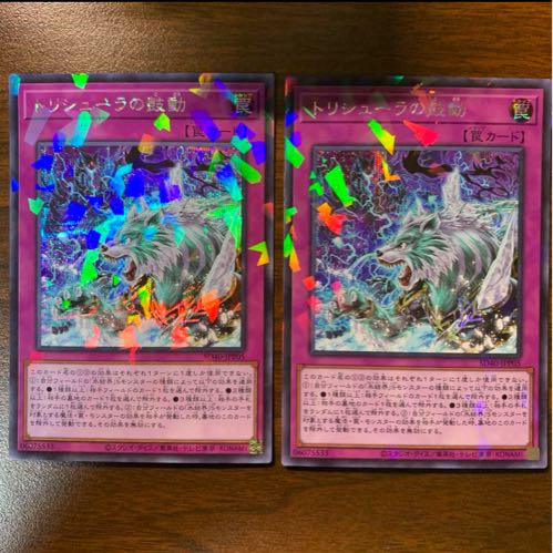 Terror of Trishula Parallel Secret Rare JPP05 1枚