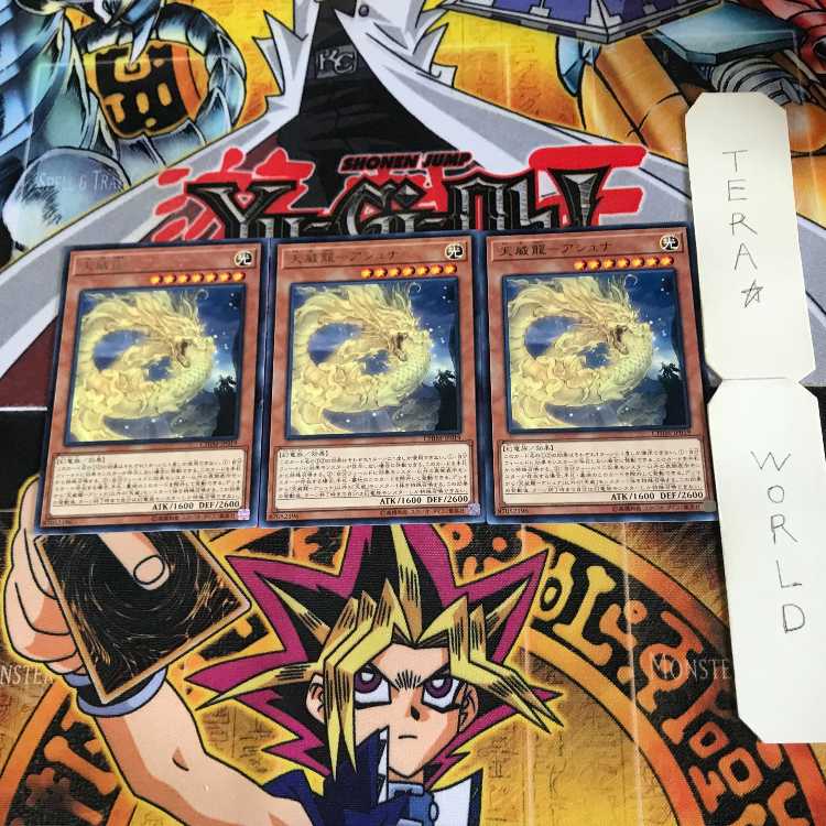 Tenwei Ryu - Ashna 1 rare, set of 3 Tera.