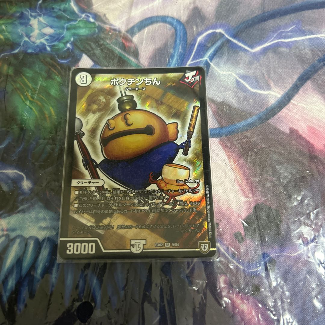 ポクチンちん SR 9/84