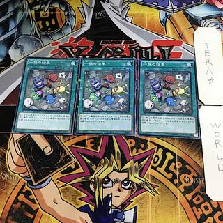 Solidarity DC01 2 Normal Parallel Set of 3 Tera