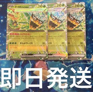 Augapon Midori-no-men ex RR 020/187