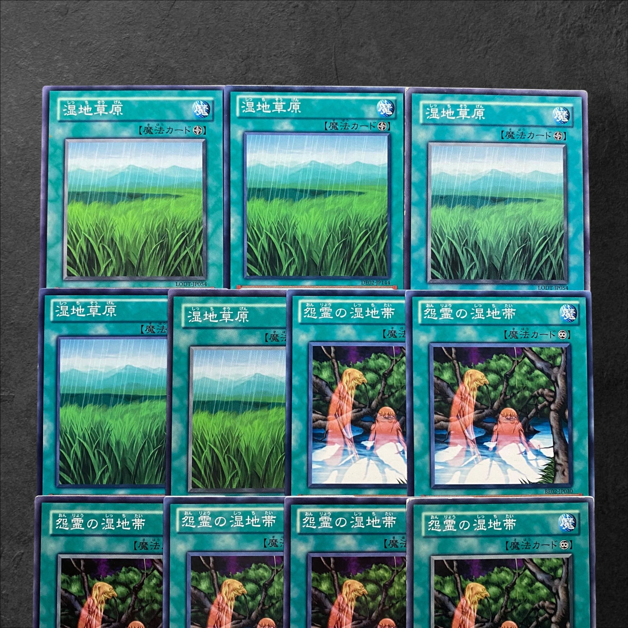 6944 [King of Games] Wetlands (5 cards) Vengeful Bog Spirit (6 cards) Total 11 cards set