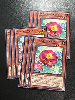 Yu-Gi-Oh Studio 9 cards Nature Camellia Normal JP021