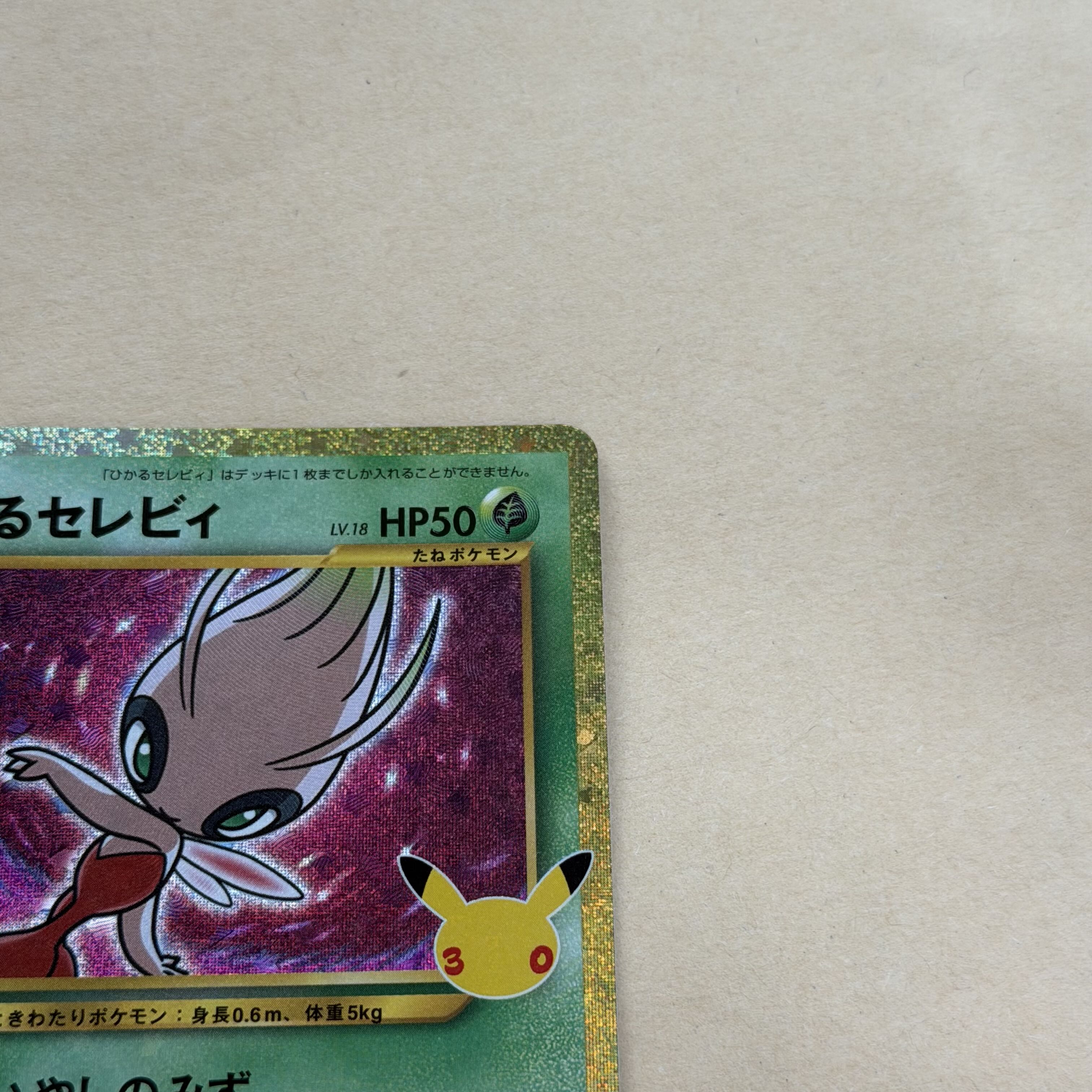 Hikaru Celebi 30th 1枚