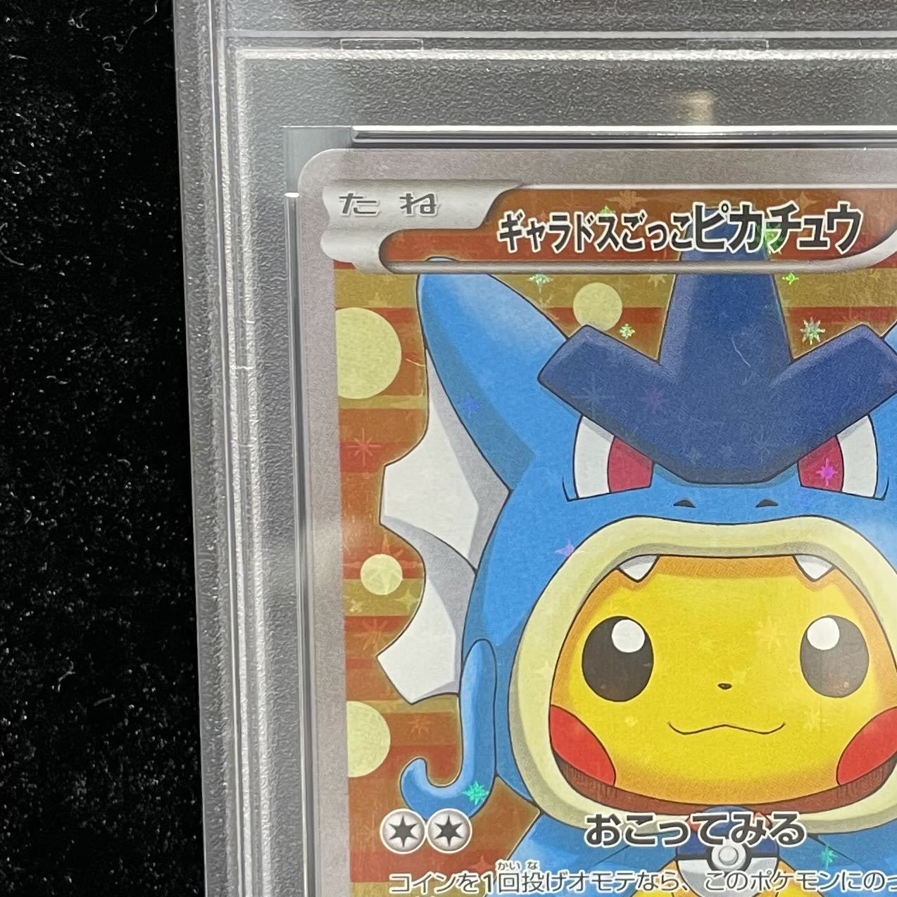 PSA10】ギャラドスごっこピカチュウ PROMO 151/XY-Pの通販 土日祝休 