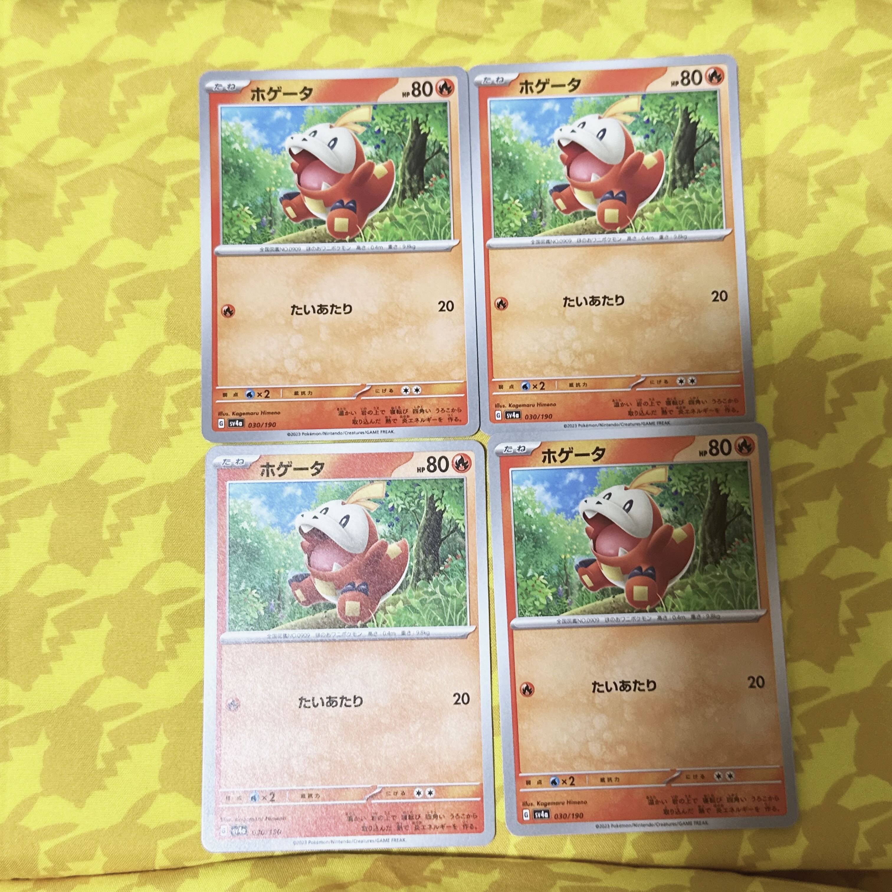 【00117】 ホゲータ C 017/073