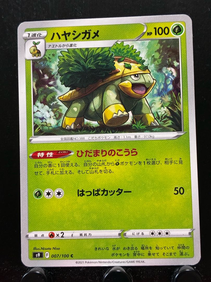 【楽々堂】ポケカ ハヤシガメ