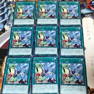 Cattle Call EP16 1 rare, set of 9 Tera.