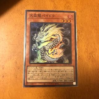 天盃龍」の激安通販 | magi