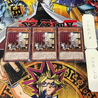 回猫 ROTA 1 ノーマル 効果 3枚セット てら 3枚