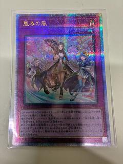 恵みの風 QCSE・25thシク QCCU-JP168 1枚
