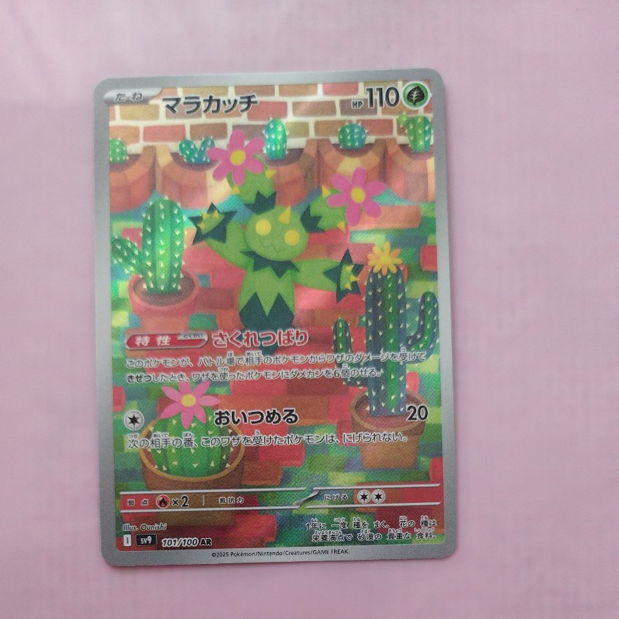 @ @ Maractus AR 101/100 1枚