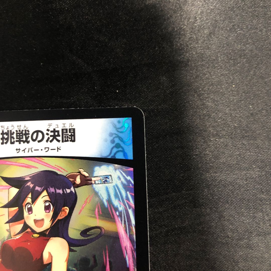 Challenge Decision Fighting VR 25/89