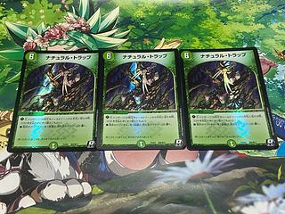 D-237 ナチュラル・トラップ R-foil 激9/激17 3枚