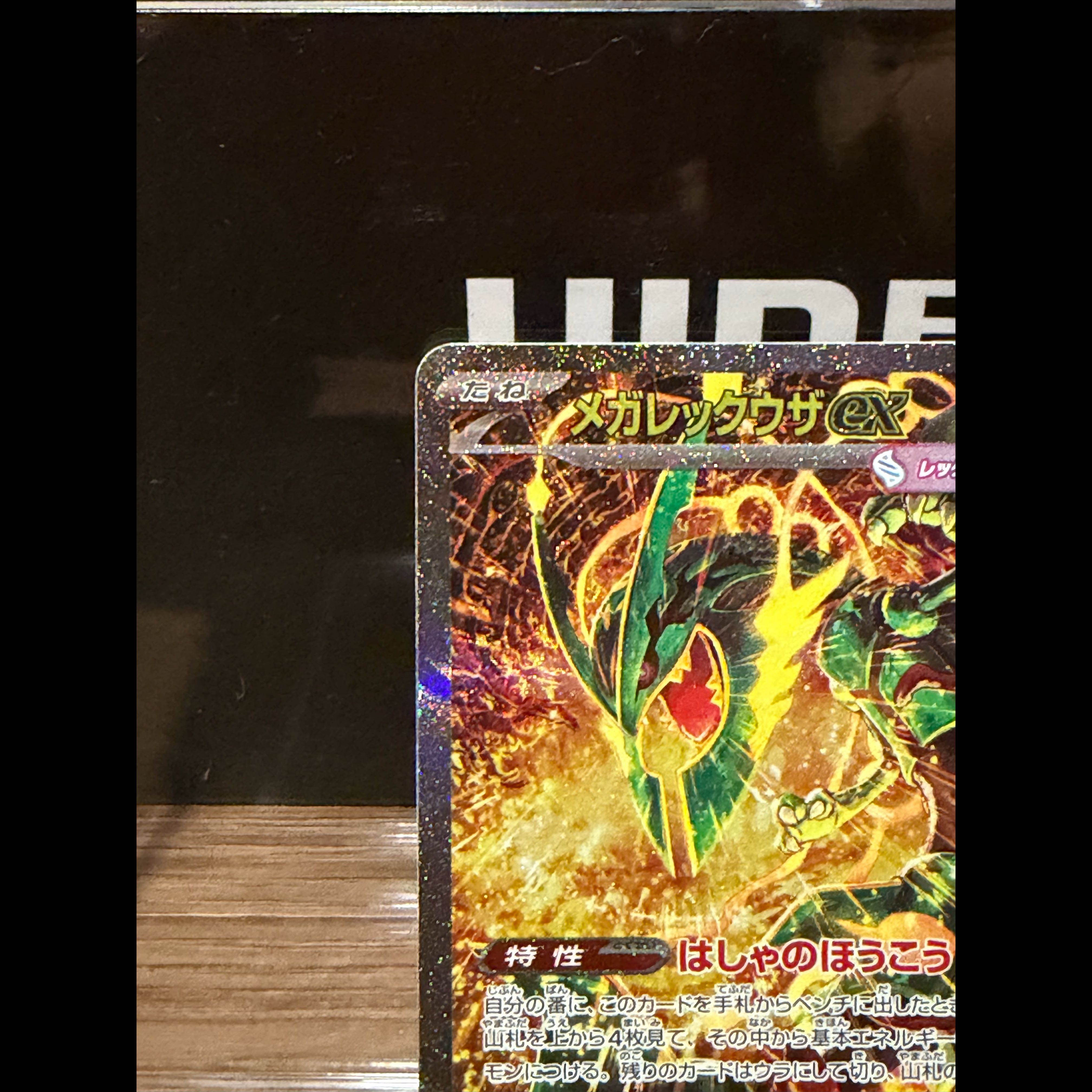 Pokémon Card: Mega Rayquaza EX SAR 110/076 Storm Emerald Da 1枚