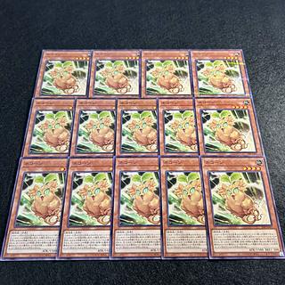 a955【遊戯王】ネコーン　14枚セット