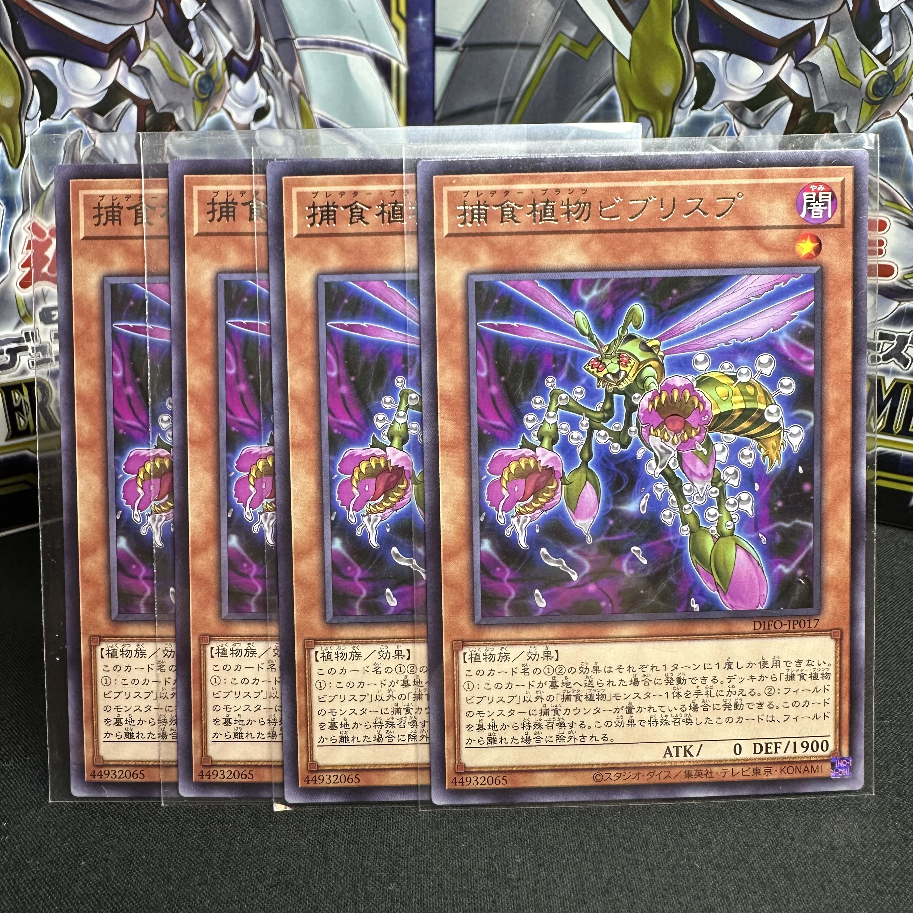 捕食植物ビブリスプ レア JP017 1枚