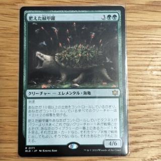 Plump Green Shell - Rare 171/0 1枚