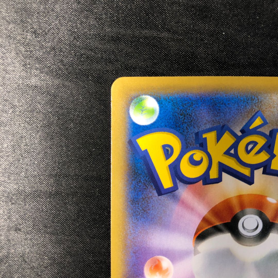 コアルヒー S 294/190 1枚