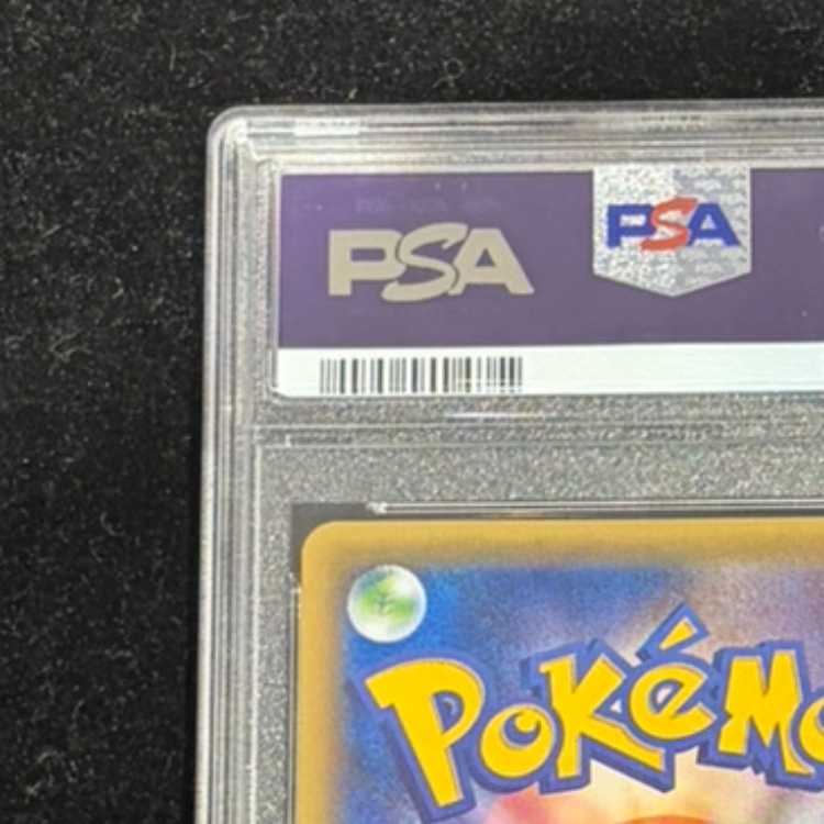 PSA10] Pikachu PROMO 230/XY-P in poncho 1枚