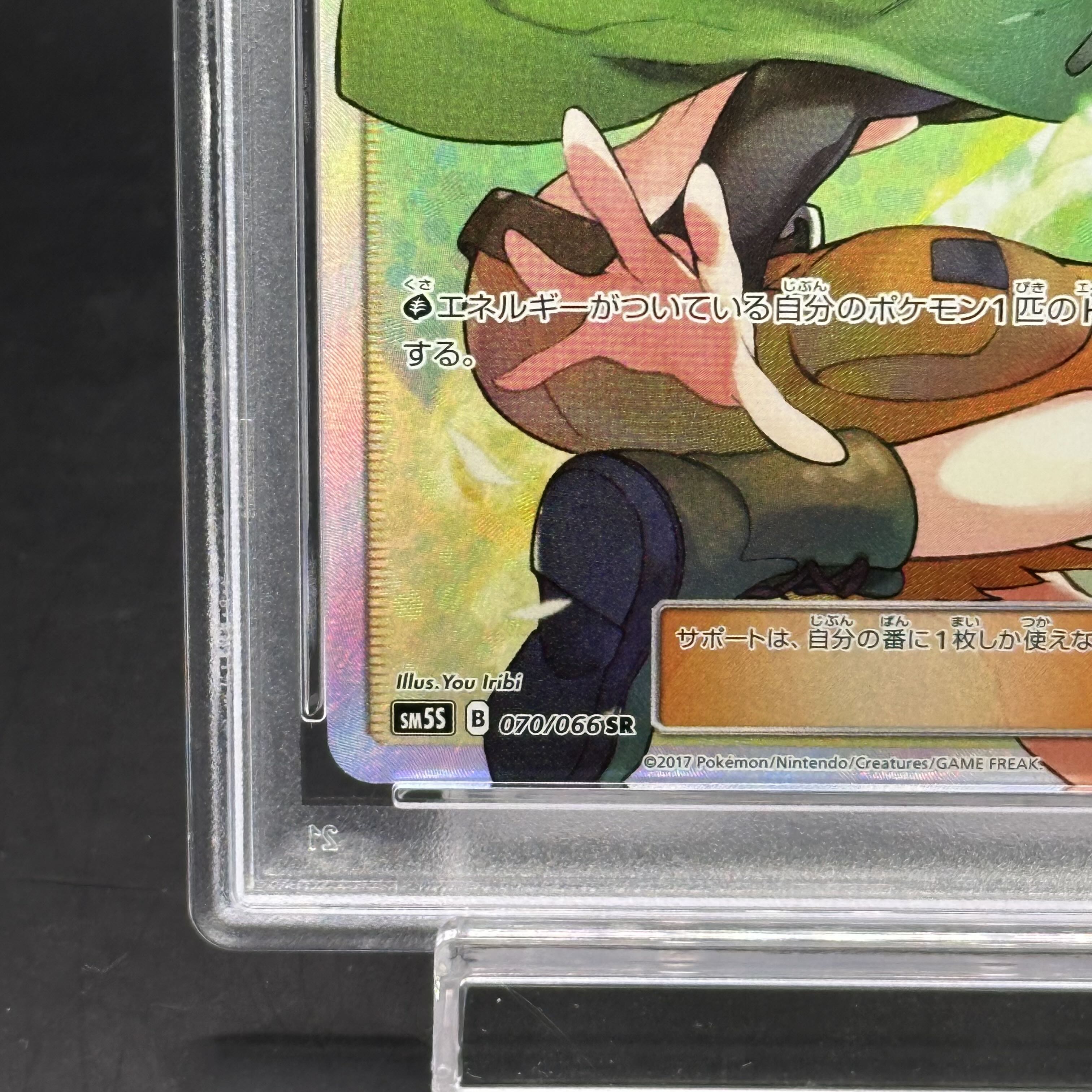 [PSA10] Gardenia SR 070/066