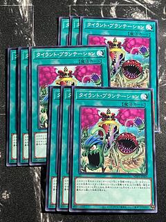 タイラント・プランテーション