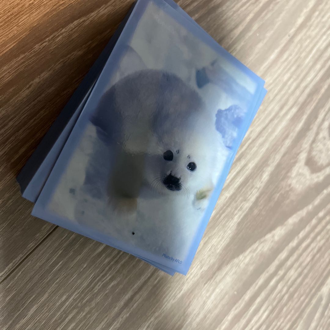 恐竜デッキ　40枚　引退品です 30枚