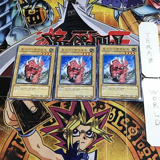 セイバーザウルス POTD 1 ノーマル 3枚セット てら