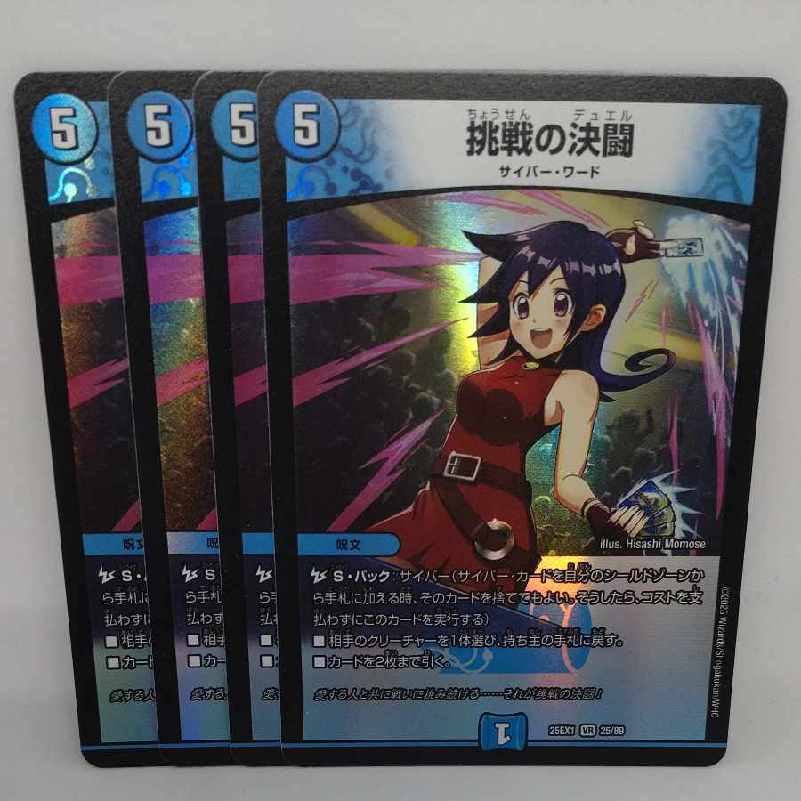 Challenge Decision Fighting VR 25/89