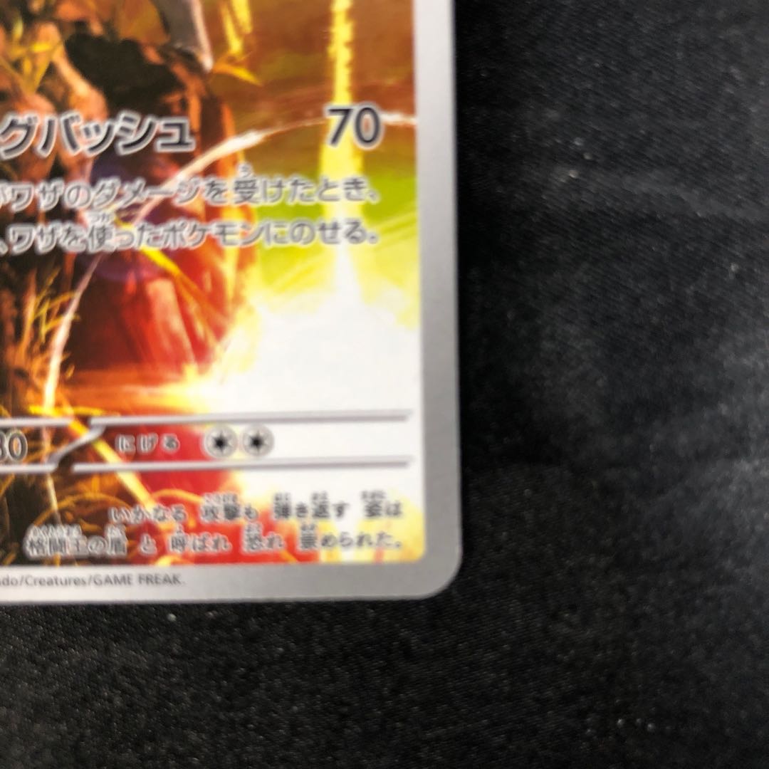 Zamazenta AR 107/098