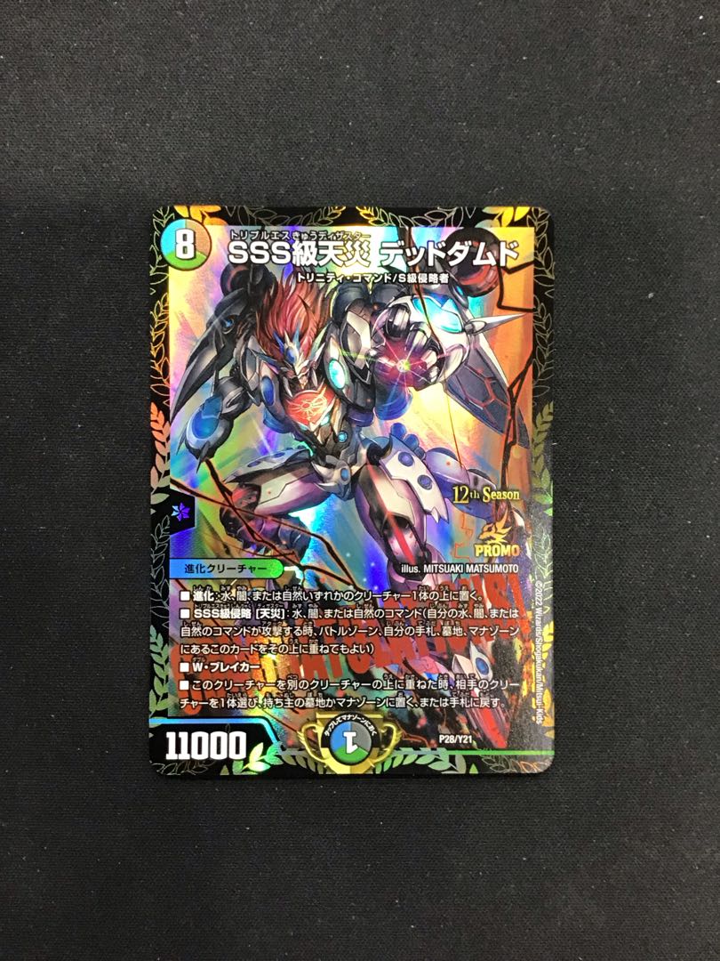 SSS Class Natural Disaster Dead Damned P28/Y21