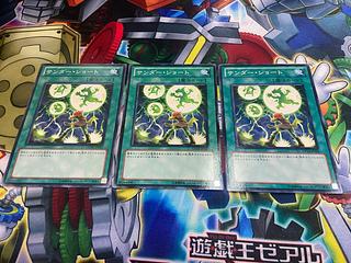 Y-260 サンダー・ショート ノーマル JP047